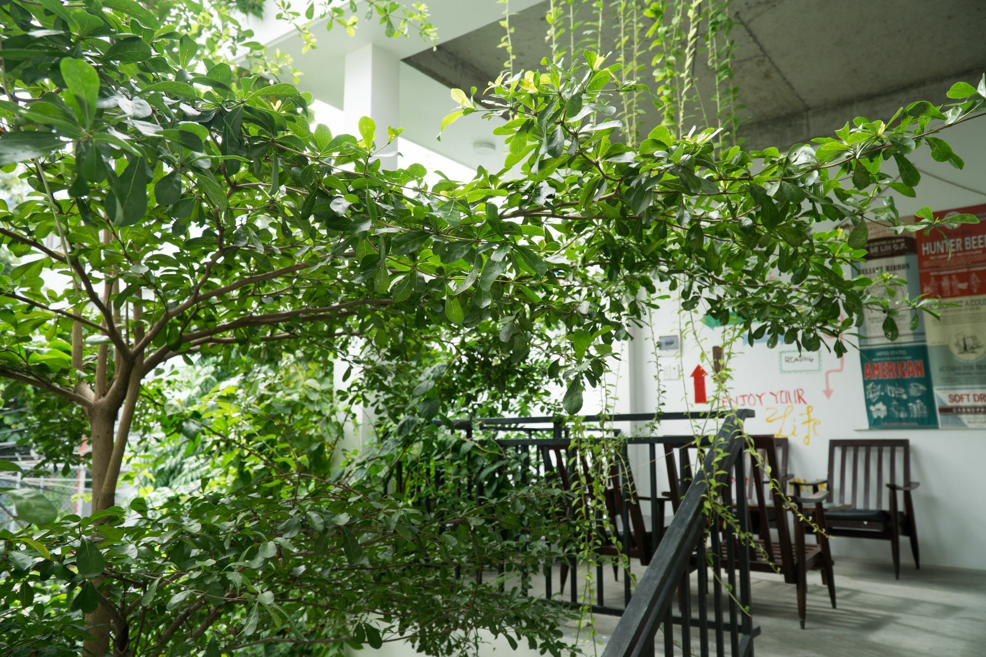 Kiu House - 3Br - Green & Artistic Da Nang Dış mekan fotoğraf