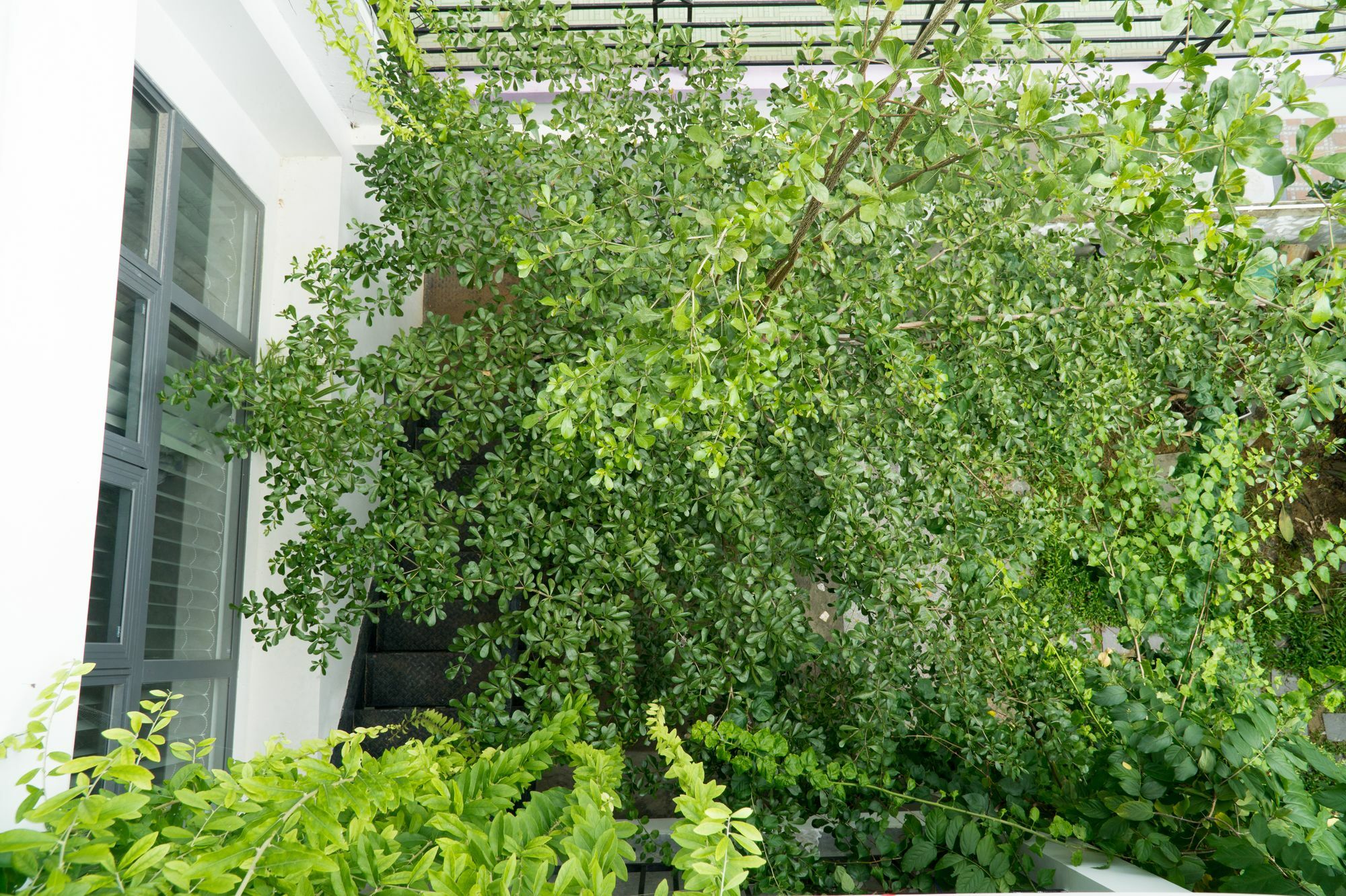 Kiu House - 3Br - Green & Artistic Da Nang Dış mekan fotoğraf